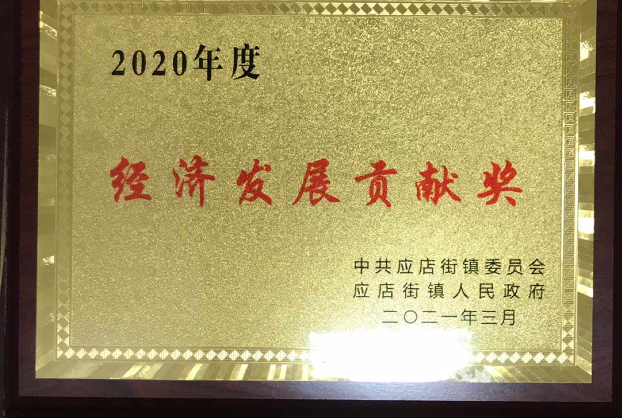 2020年度经济发展贡献奖