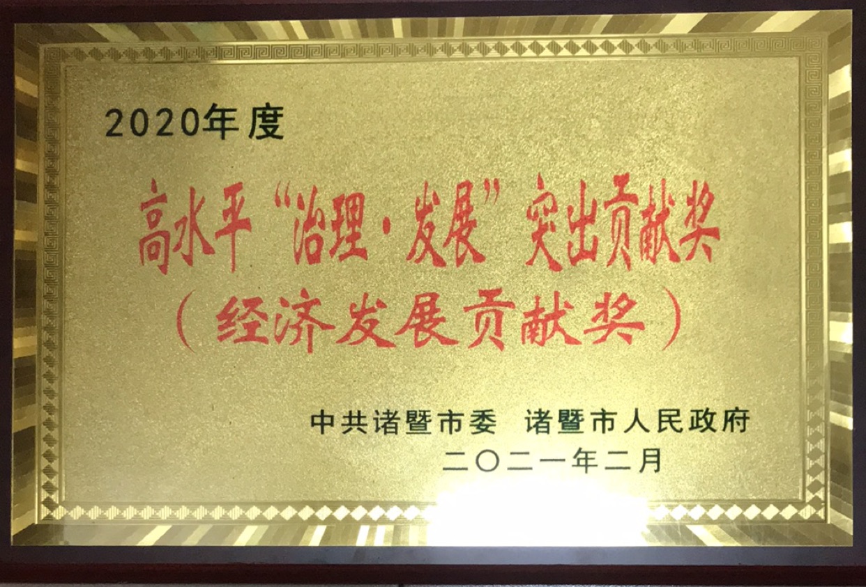 2020年度高水平“治理·发展”突出贡献奖